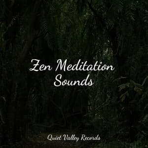 Zen Meditation Sounds - The Sleep Helpers