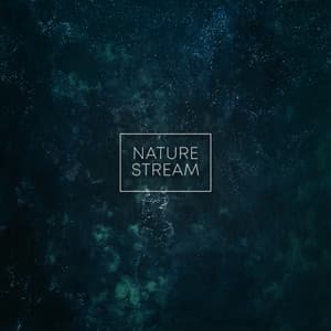 Nature Stream - Sleep Music