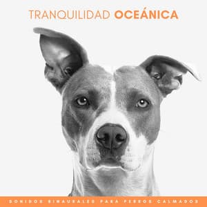 Tranquilidad Oceánica: Sonidos Binaurales Para Perros Calmados - Explorador binaural