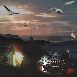 Trans Fusion - Tim Juckes