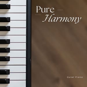 Pure Harmony: Piano Background Music - Quiet Piano