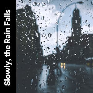 Slowly, the Rain Falls - Day & Night Rain