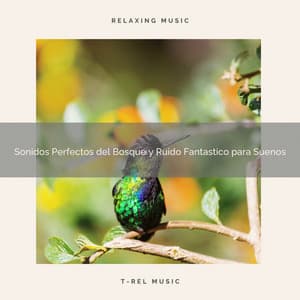 Sonidos Perfectos del Bosque y Ruido Fantastico para Suenos - Ruido Blanco
