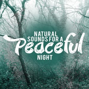 Natural Sounds for a Peaceful Night - Exam Study Nature Music Nature Sounds