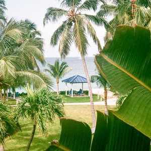 1 Sol: Godrays - Lofi Chill