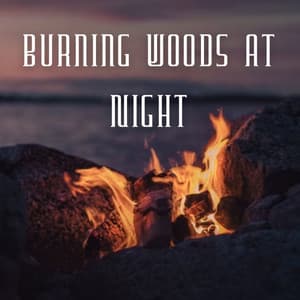 Burning Woods at Night - Music of Nature