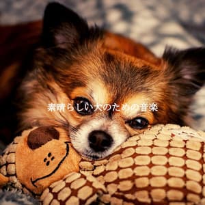 素晴らしい犬のための音楽 - Hotel Music