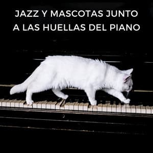 Jazz Y Mascotas Junto A Las Huellas Del Piano - Jazz Ambiente