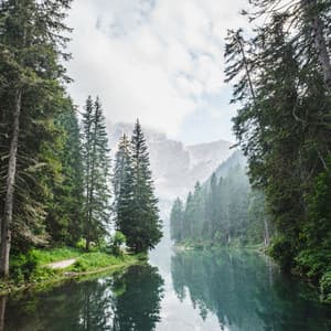 Relaxing Waterscapes: River's Harmonic Respite - Relaxation Music Guru