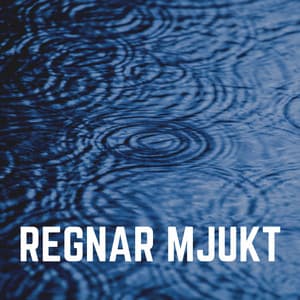 Regnar Mjukt - Regnskur
