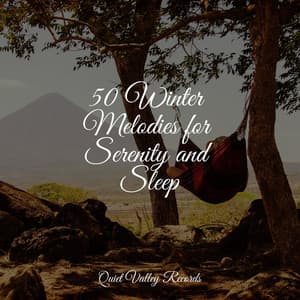 50 Winter Melodies for Serenity and Sleep - Nature Recordings