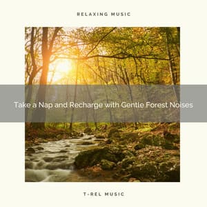 2021 New: Take a Nap and Recharge with Gentle Forest Noises - Sleep Sound Library