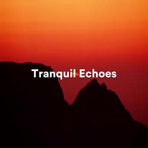 Tranquil Echoes: Ambient Sounds for Meditation and Relaxation - Reiki Warmth
