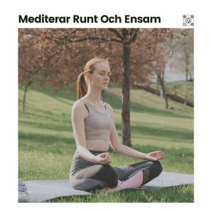 Mediterar Runt Och Ensam - Avslappnande Meditation Akademi