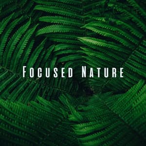 Focused Nature: Binaural Sounds for Intense Study Sessions - The Nature Project