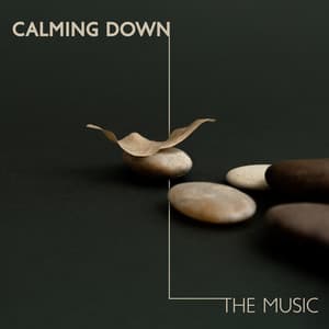 Calming Down: The Music - Nearby Massage Spa