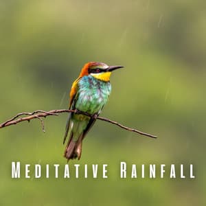 Meditative Rainfall: Nurturing Nature and Chill Music - Rain Sounds FX