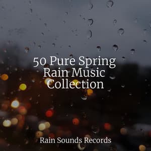 50 Pure Spring Rain Music Collection - Nature Sounds