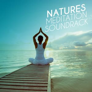 Nature's Meditation Soundtrack - Nature Sounds Meditation