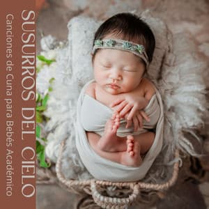 Susurros del Cielo: Canción de Cuna - Canciones de Cuna para Bebés Acadèmico