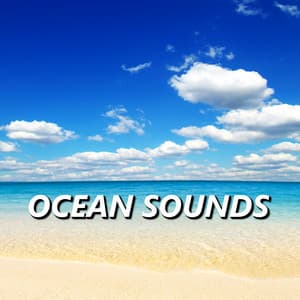 Ocean Sounds - Beach Sounds and Ocean Waves
