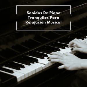 Sonidos De Piano Tranquilos Para Relajación Musical - Paz del piano