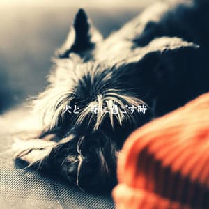 犬と一緒に過ごす時 - Coffee Shop Jazz Relax