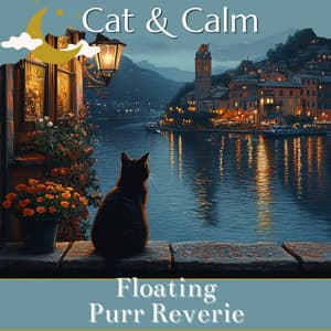 Floating Purr Reverie - Cat & Calm