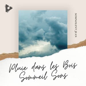 Pluie dans les Bois Sommeil Sons - Somnolent Jean
