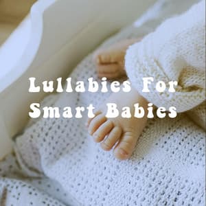 Lullabies For Smart Babies - Echoes Of Nature