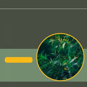 Self Care Days - Easy - Jazz Music for Sleeping