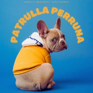 Patrulla Perruna: Música Ambiental Para Perros - Sonidos ambientales de la naturaleza