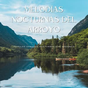Melodías Nocturnas Del Arroyo: Paisajes Sonoros Nocturnos Con Ensamble - Canticuenticos