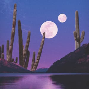 Cactus Island - Mujo