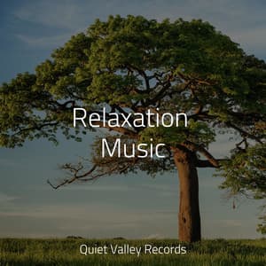 Relaxation Music - Baby Relax Music Collection