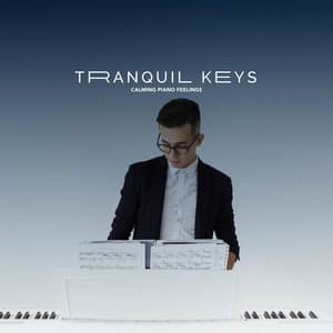 Tranquil Keys - Calming Piano Feelings