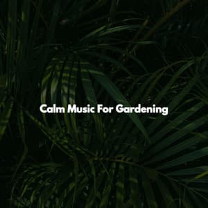 Calm Music For Gardening - Thursday Morning Jazz Playlist