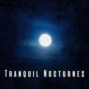 Tranquil Nocturnes: Relaxing Piano for a Peaceful Sleep - Classical Piano Music Masters