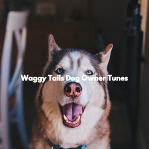 Waggy Tails Dog Owner Tunes - Home Alone Dog Music