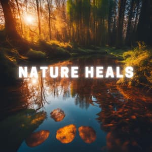 Nature Heals - Alpha Vectoriam