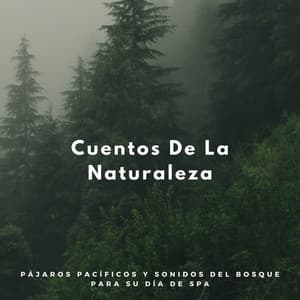 Cuentos De La Naturaleza: Pájaros Pacíficos Y Sonidos Del Bosque Para Su Día De Spa - Sonidos Naturales del Pajaro
