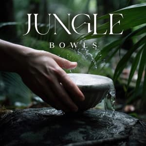 Jungle Bowls: Music for Buddhist Meditation, Tibetan Sound Therapy, Remove Bad Energy - Buddha Bali World