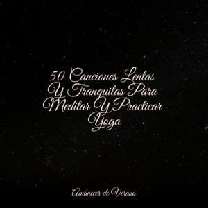 50 Canciones Lentas Y Tranquilas Para Meditar Y Practicar Yoga - Canciones Infantiles de Niños