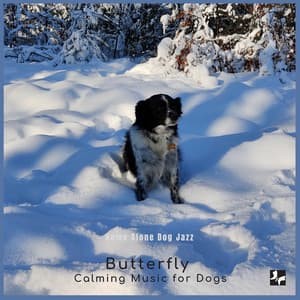 Home Alone Dog Jazz - Butterfly Calming Music for Dogs