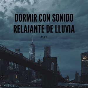 Dormir Con Sonido Relajante De Lluvia, Vol. 2 - Estado de ánimo de lluvia