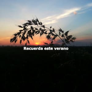 Recuerda este verano - Chill Lounge Music