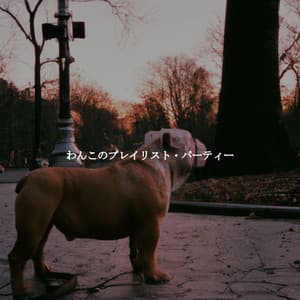 わんこのプレイリスト・パーティー - New York Jazz Bar