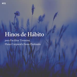 * Hinos de Hábito para Facilitar Tormina, Fluxo Corporal e Sono Profundo * - Musicoterapia