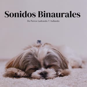 Sonidos Binaurales De Perros Ladrando Y Aullando - Soluciones de ritmos binaurales