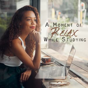 A Moment of Relax While Studying: Smooth Jazz, Chillhop, Jazzhop Mix for Relaxed Mind - Jazz for Study Music Academy